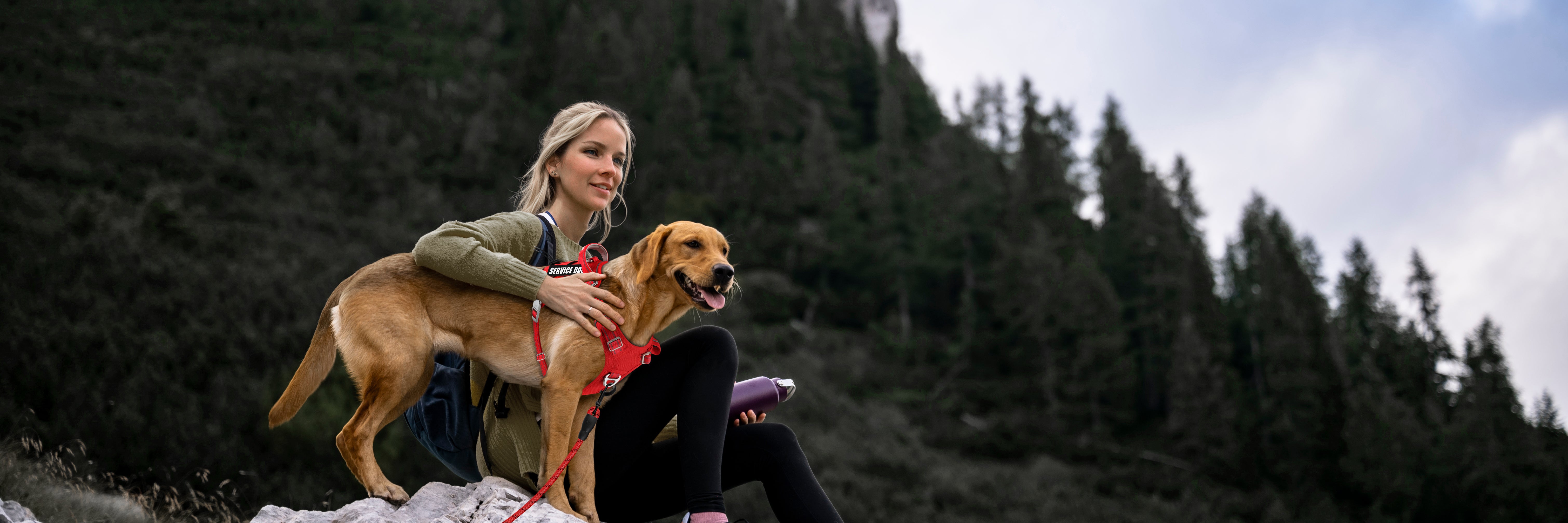 about us:BARKBAY PET